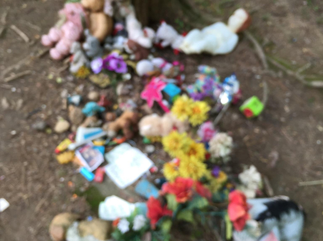 Morgan-Monroe State Forest-Martinsville必去景点