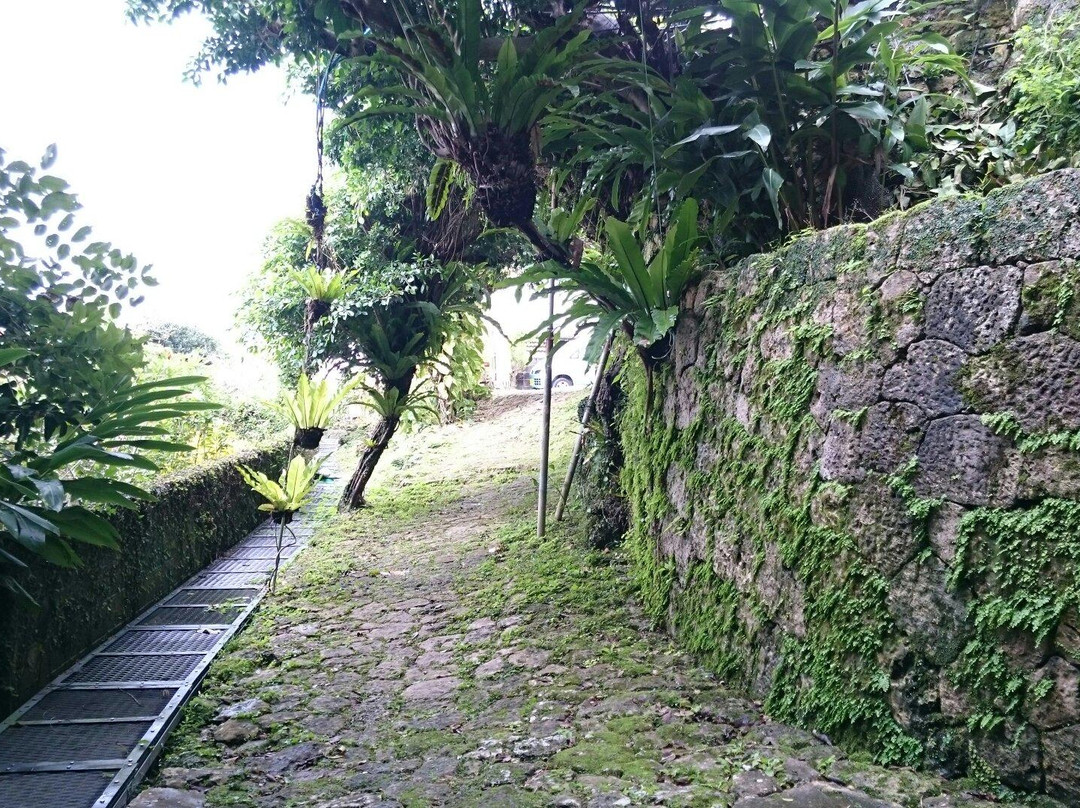 Nakanuka-那霸市必去景点