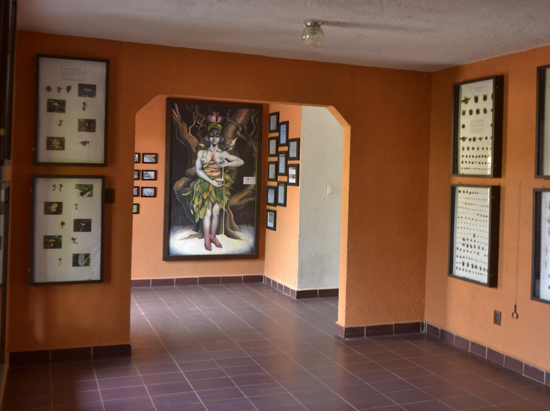 Museo Vivo-Malinalco必去景点