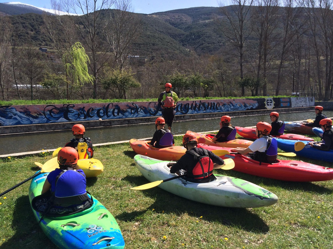 Kayak Sort景点图片