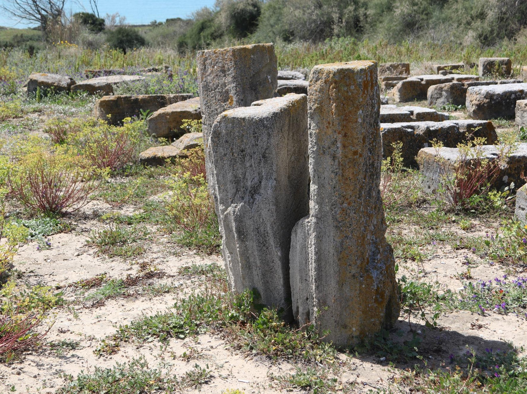 Museo Archeologico Nazionale Di Camarina-Scoglitti必去景点