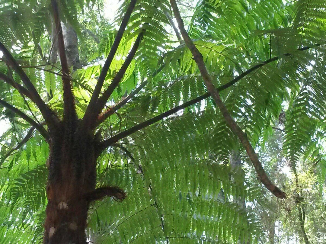 Jardin Botanico de Merida-梅里达市必去景点