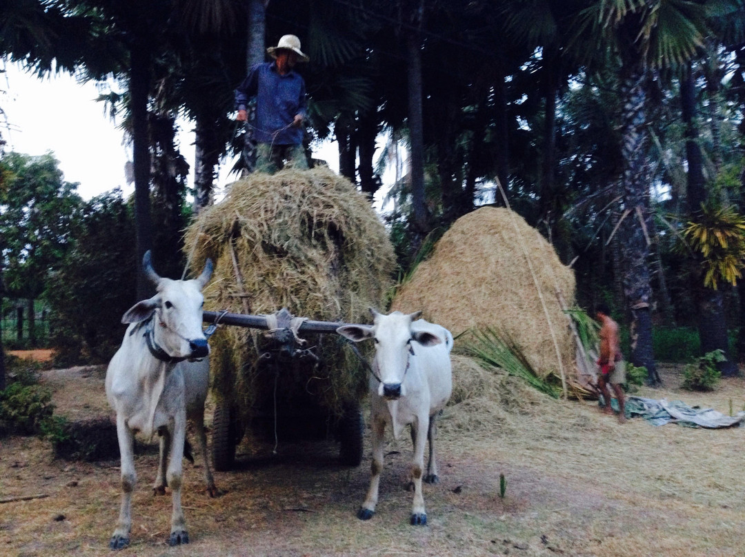 Siem Reap Palace Tour-暹粒必去景点