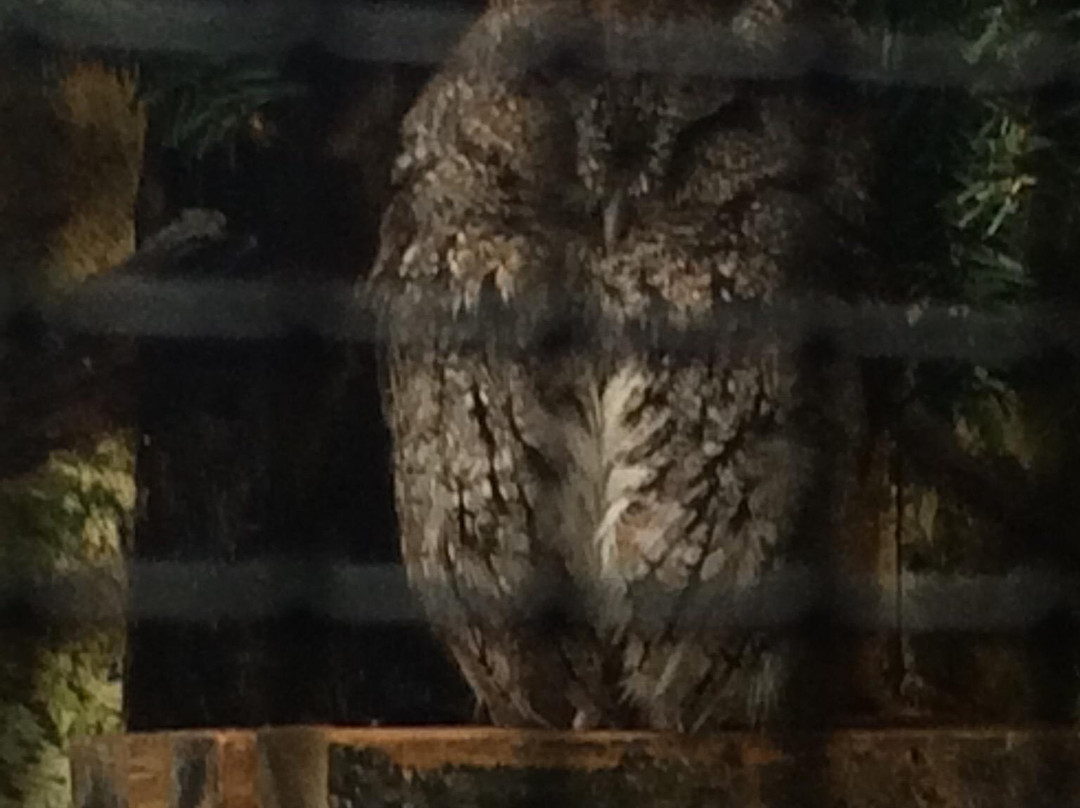 Willowbrook Wildlife Center-Glen Ellyn必去景点