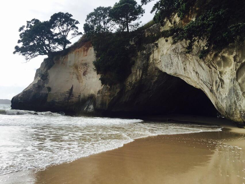 Oh Yeah Tours-皮哈海滩必去景点