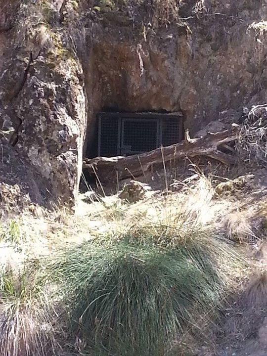Brisbane Ranges National Park-维多利亚必去景点