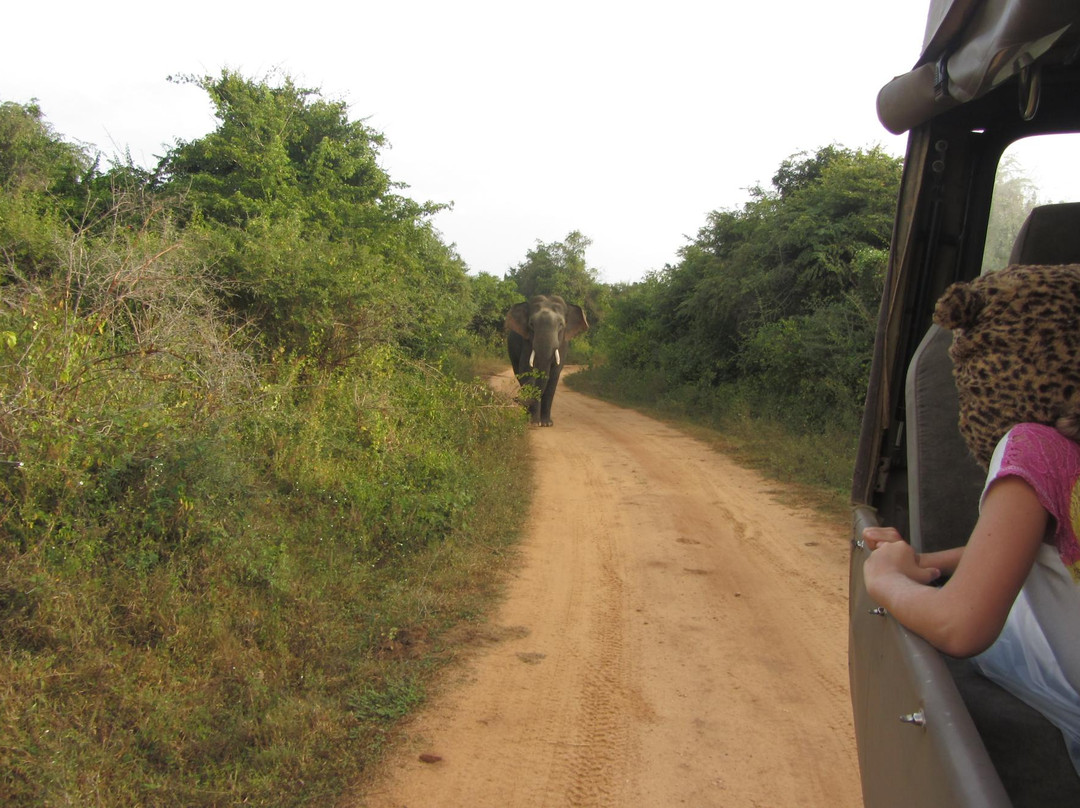 Okanda Devalaya-雅拉国家公园必去景点