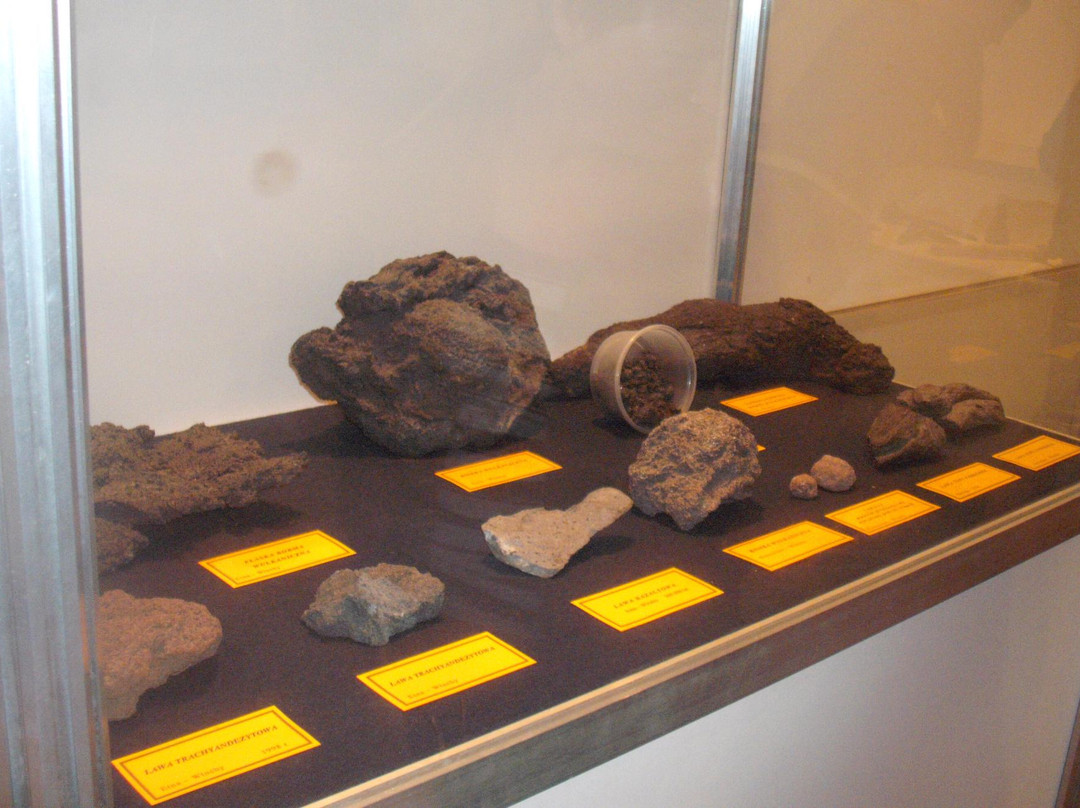Mineral Museum (Muzeum Mineralow)-Kudowa-Zdroj必去景点