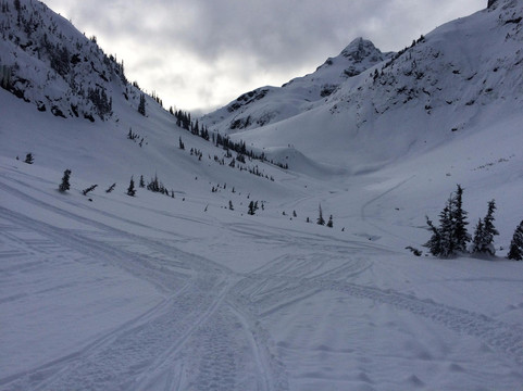 Totally Awesome Adventures-Pemberton必去景点