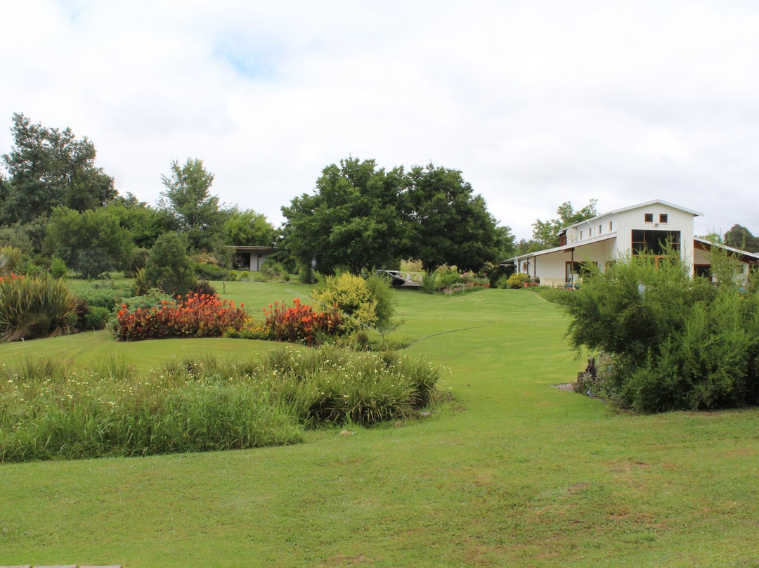 Stutterheim酒店住宿-Hornbills Forest Getaway