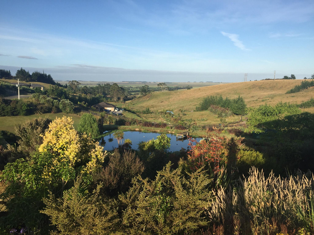 Aloe Aloe Gardens Bed & Breakfast主图