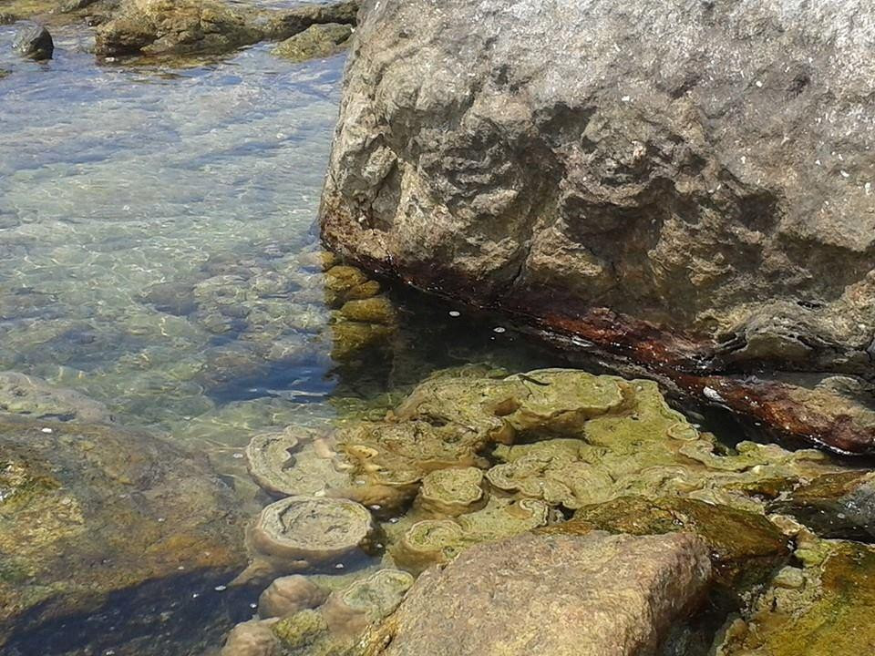 Rock Islands Santuaries-Ambalangoda必去景点