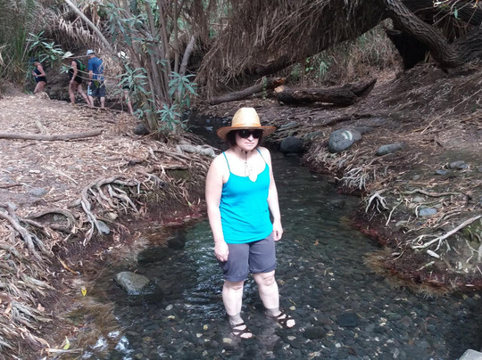 The Betekha, Bethsaida, Majrase and Zaki Nature Reserve-加利利必去景点