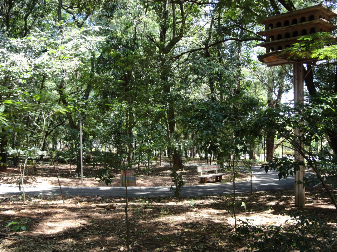 Bosque da Comunidade景点图片