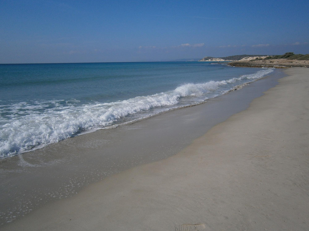 Cesme Altınkum Beach景点图片