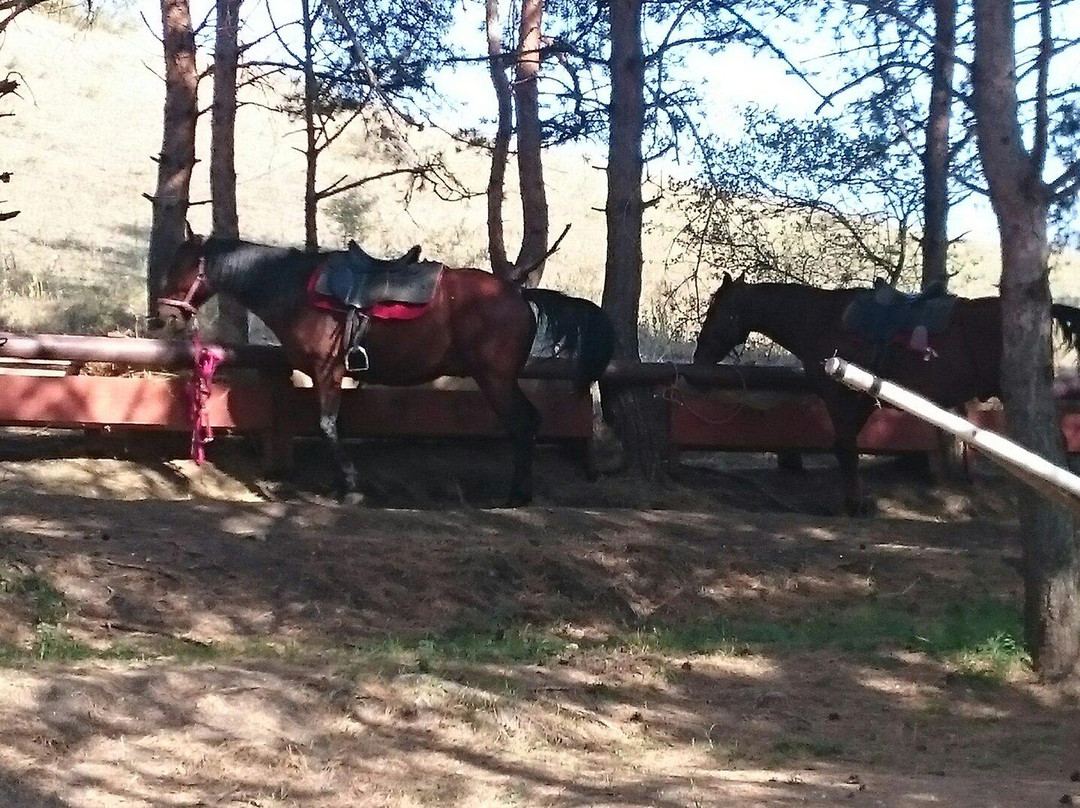 Canyon Equestrian Club景点图片