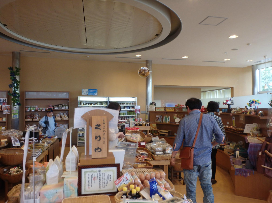Michi-no-Eki Kyoto Shinkoetsumura-南丹市必去景点