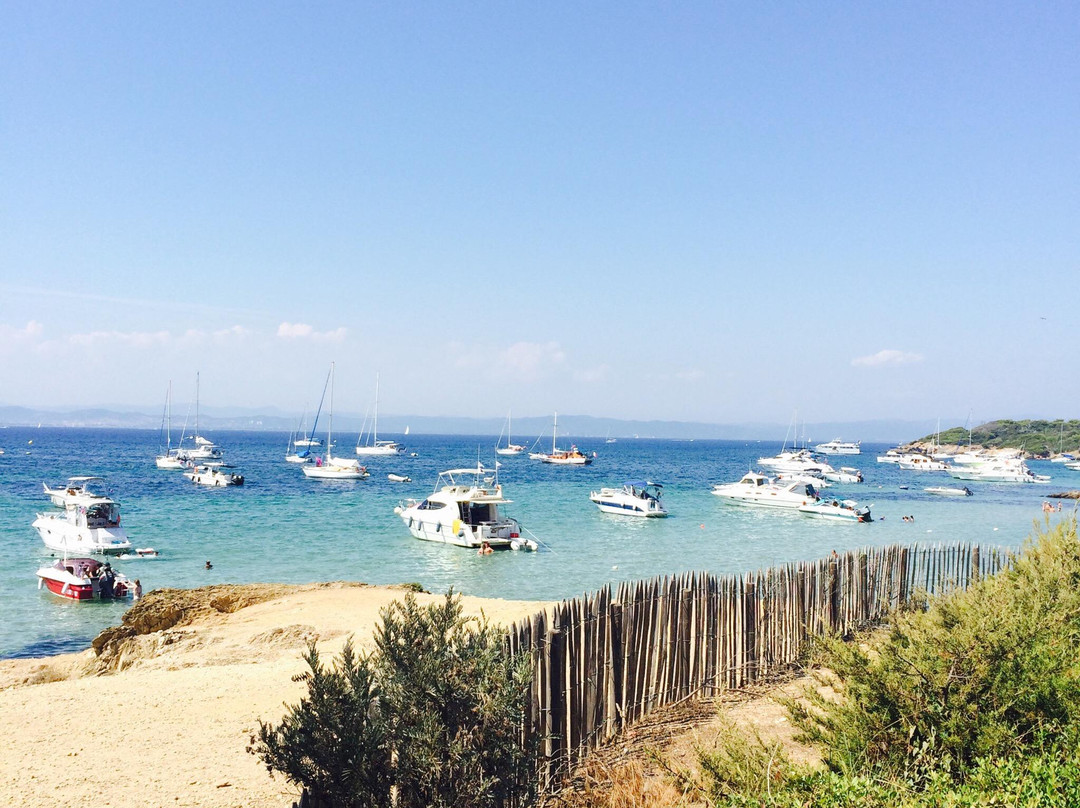 Plage de la Courtade-Porquerolles Island必去景点