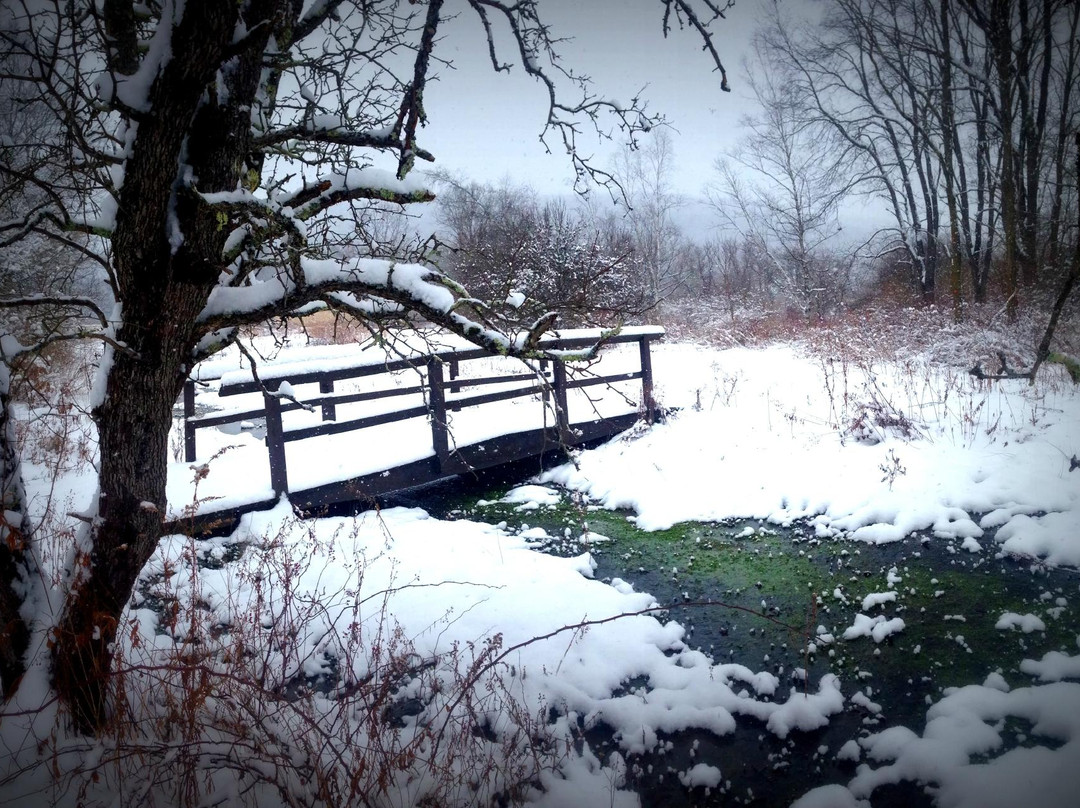 Robert V Riddell State Park-Oneonta必去景点