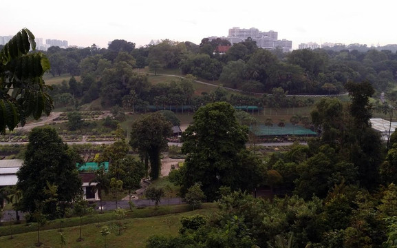 Kent Ridge Park-新加坡必去景点
