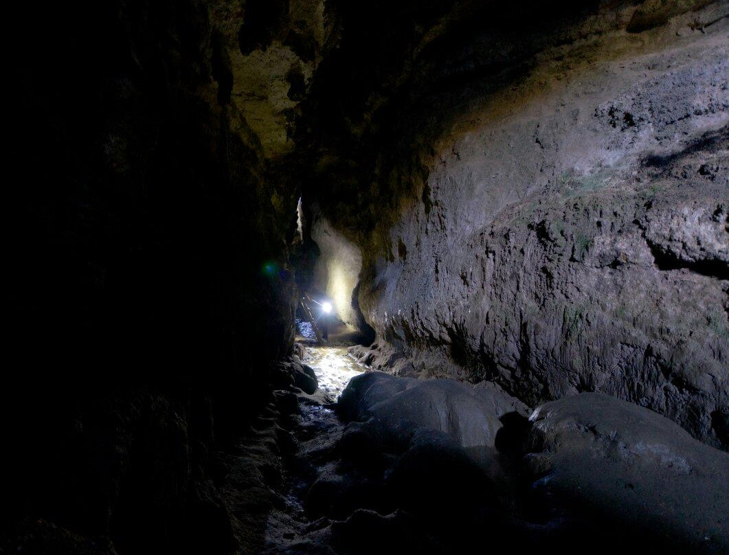 Mangaone Caves Track-Wairoa必去景点