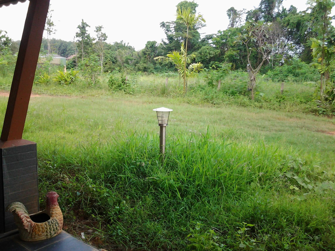 Run's Bed & Breakfast主图