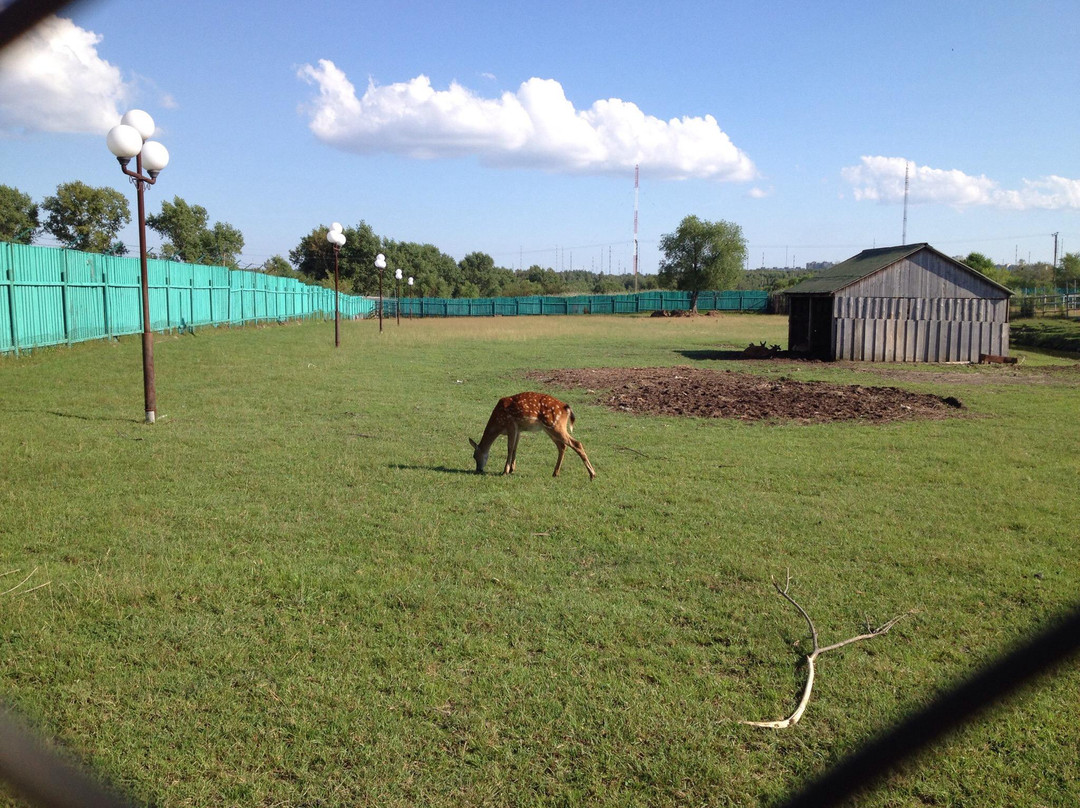 Aragon-哈巴罗夫斯克必去景点