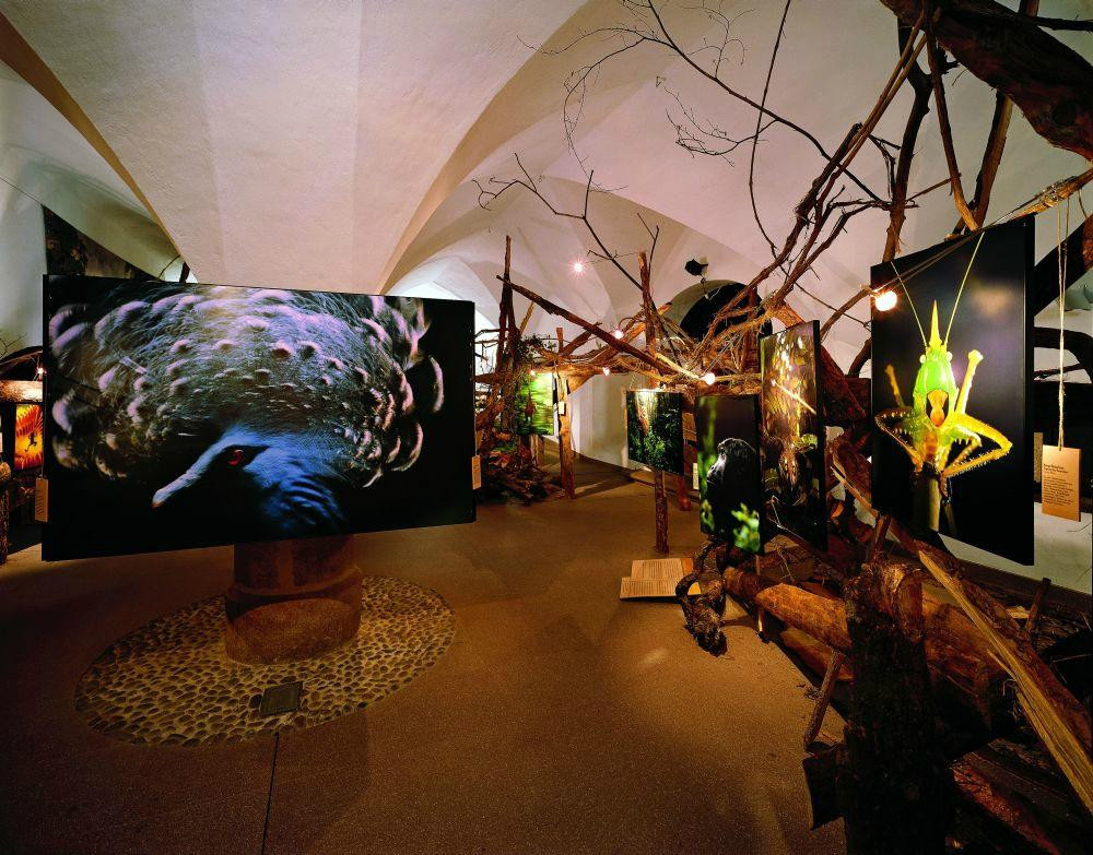 Museum of Nature South Tyrol景点图片
