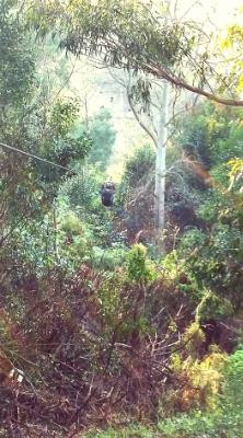 SA Forest Adventures-卡里登必去景点