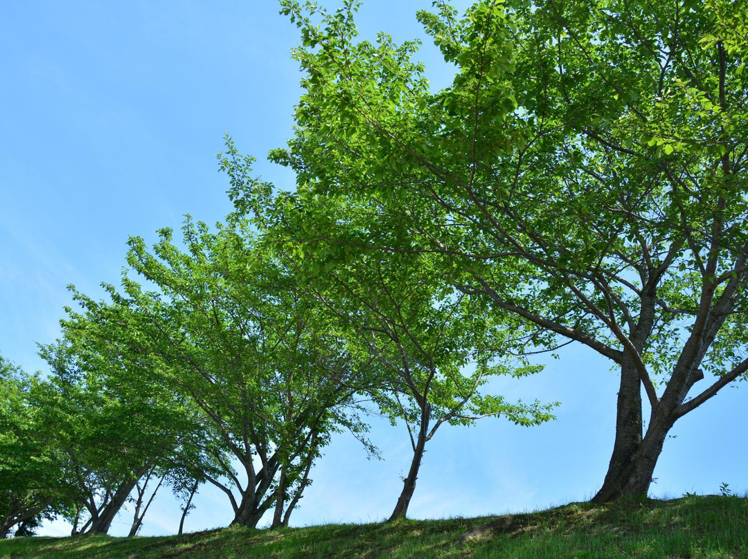 Tondabayashi Savor Farm-富田林市必去景点