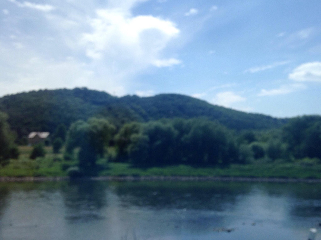 Elbe River-德辛必去景点
