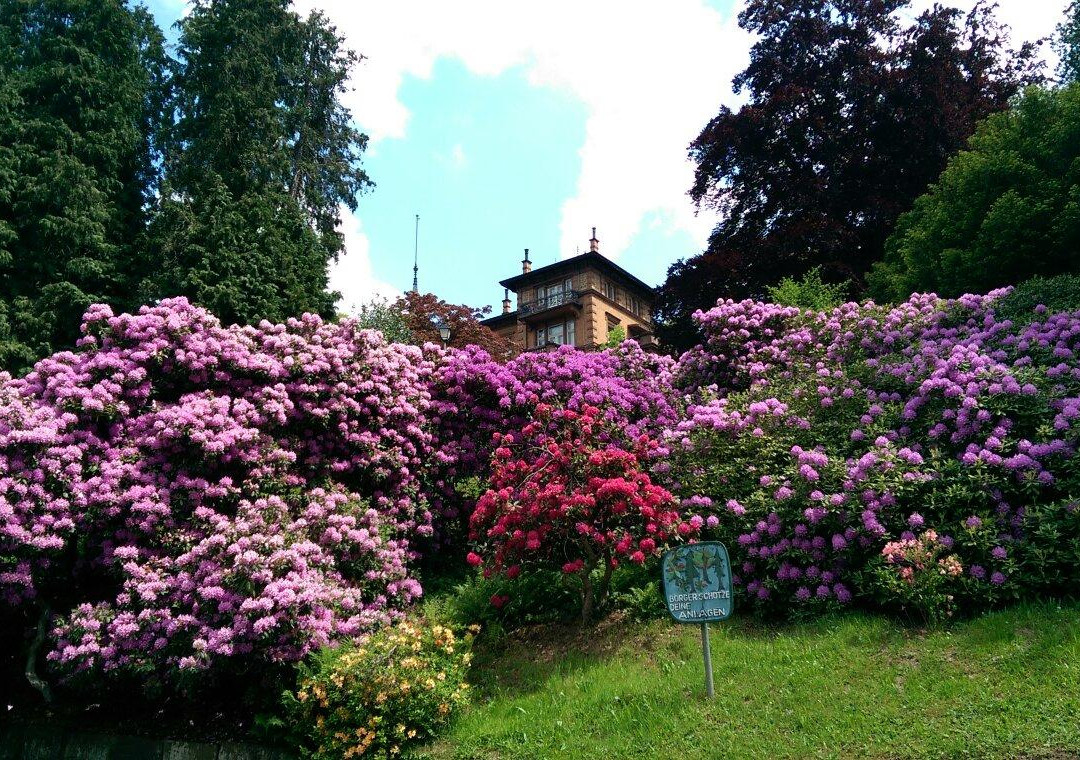 Villa Junghans