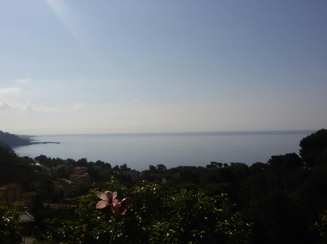 Latte Bellavista主图