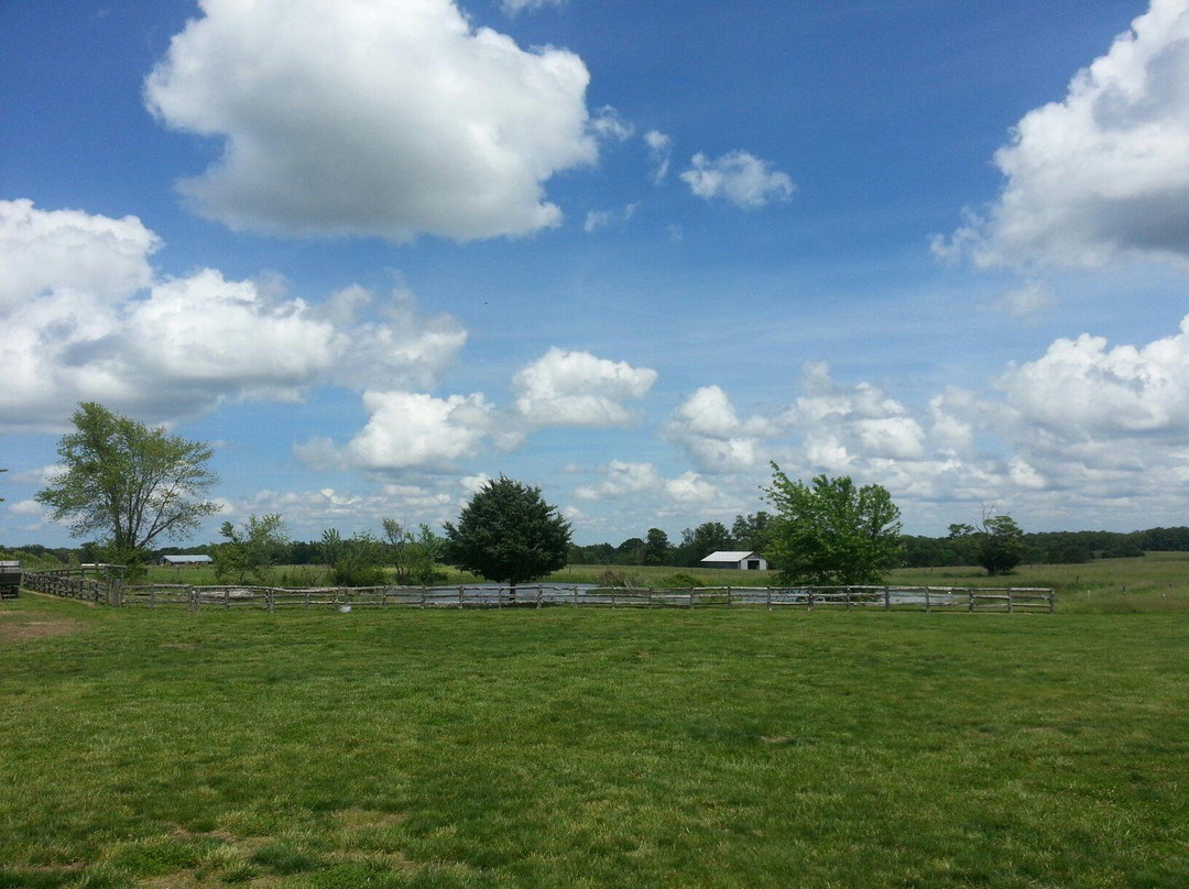 White Mule Winery-Owensville必去景点