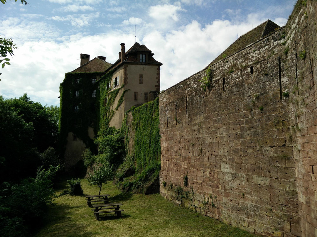 Château de La Petite-Pierre景点图片