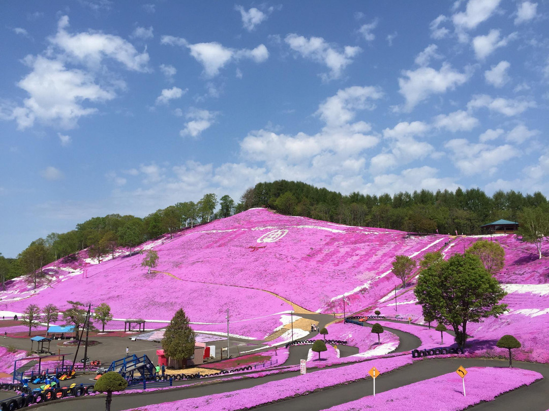 Higashimokoto Shibazakura Park-大空町必去景点