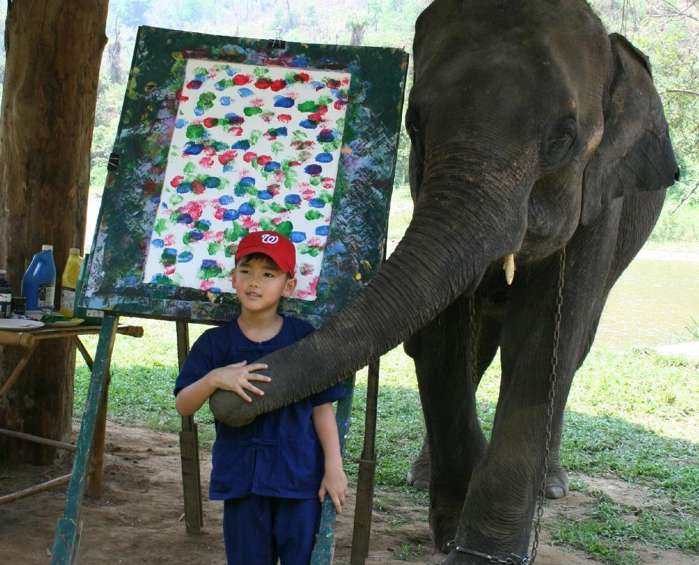 Elephant Life Experience-夜登必去景点
