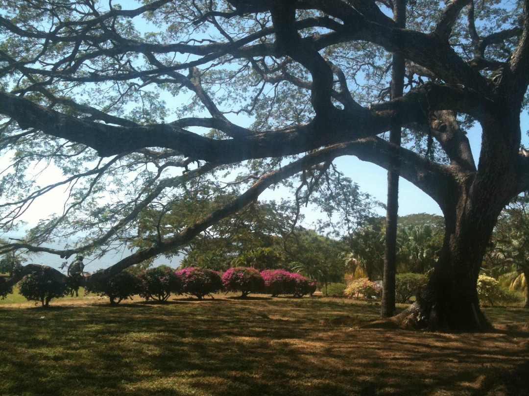 La Ensenada Lodge主图