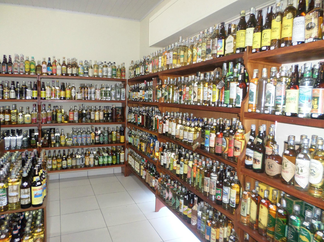 Bar do Marcelo & Goncalvinhos-Goncalves必去景点