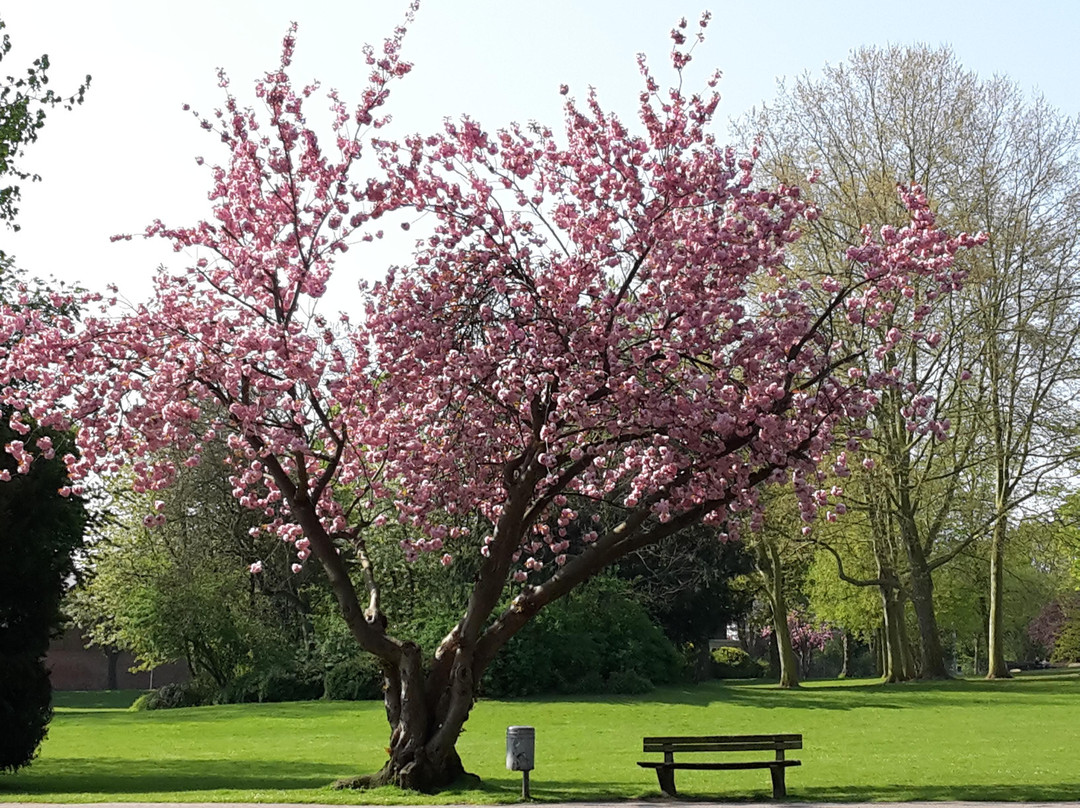 Brauweiler Abbey-Pulheim必去景点