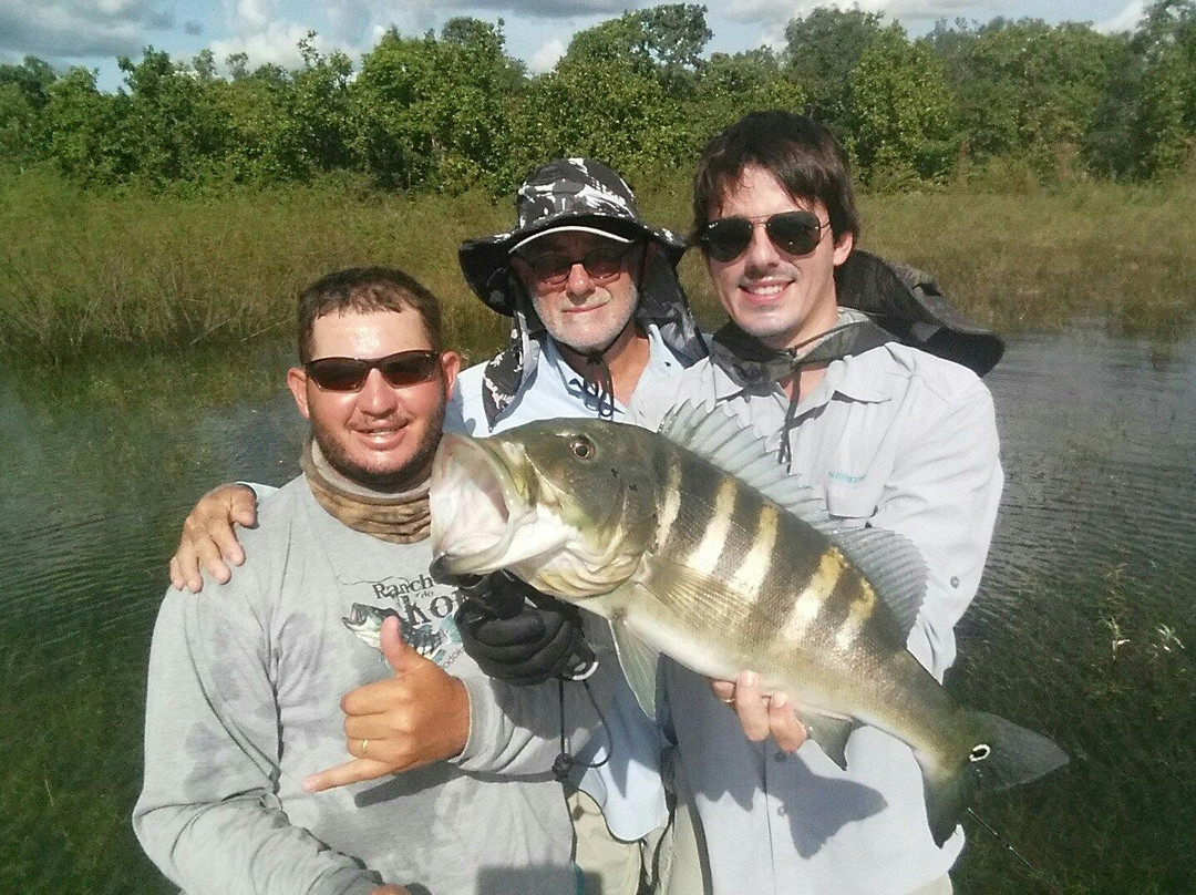 Rancho do Kojak主图