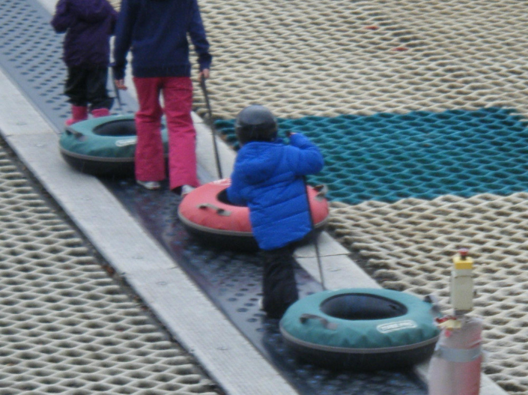 Alford Ski Centre-Alford必去景点