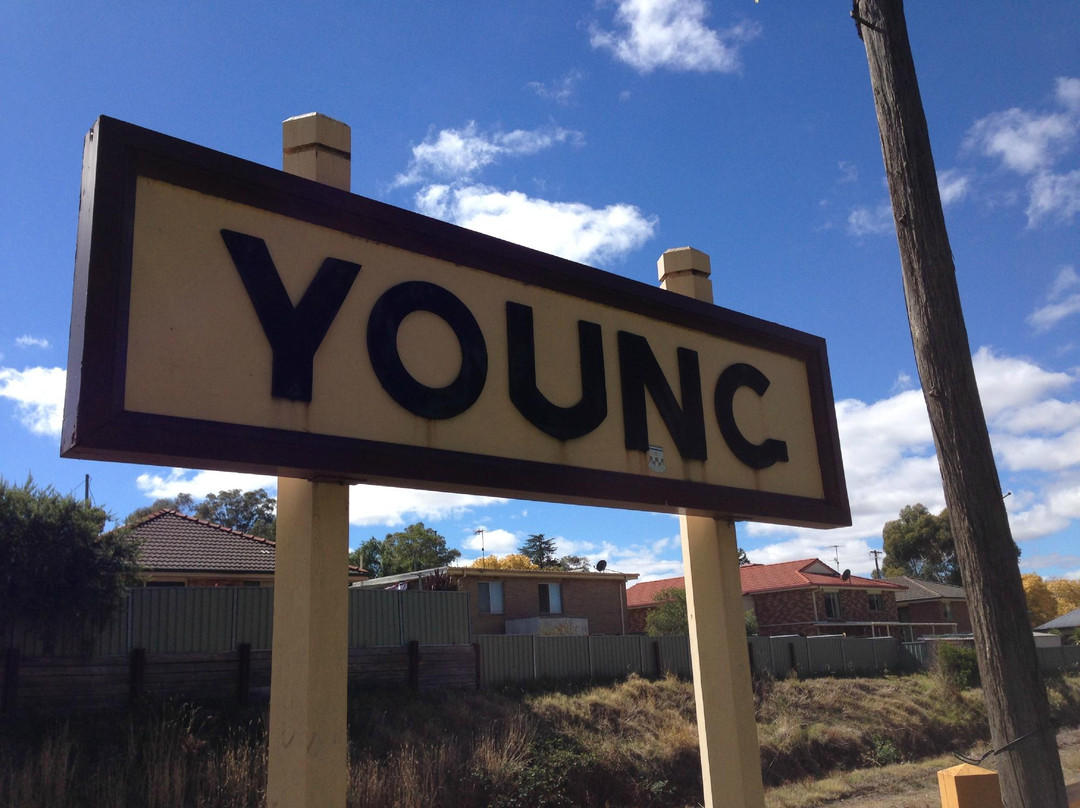 Young Historical Museum-Young必去景点