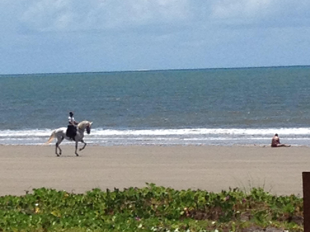 Ponta de Santo Antonio Beach景点图片