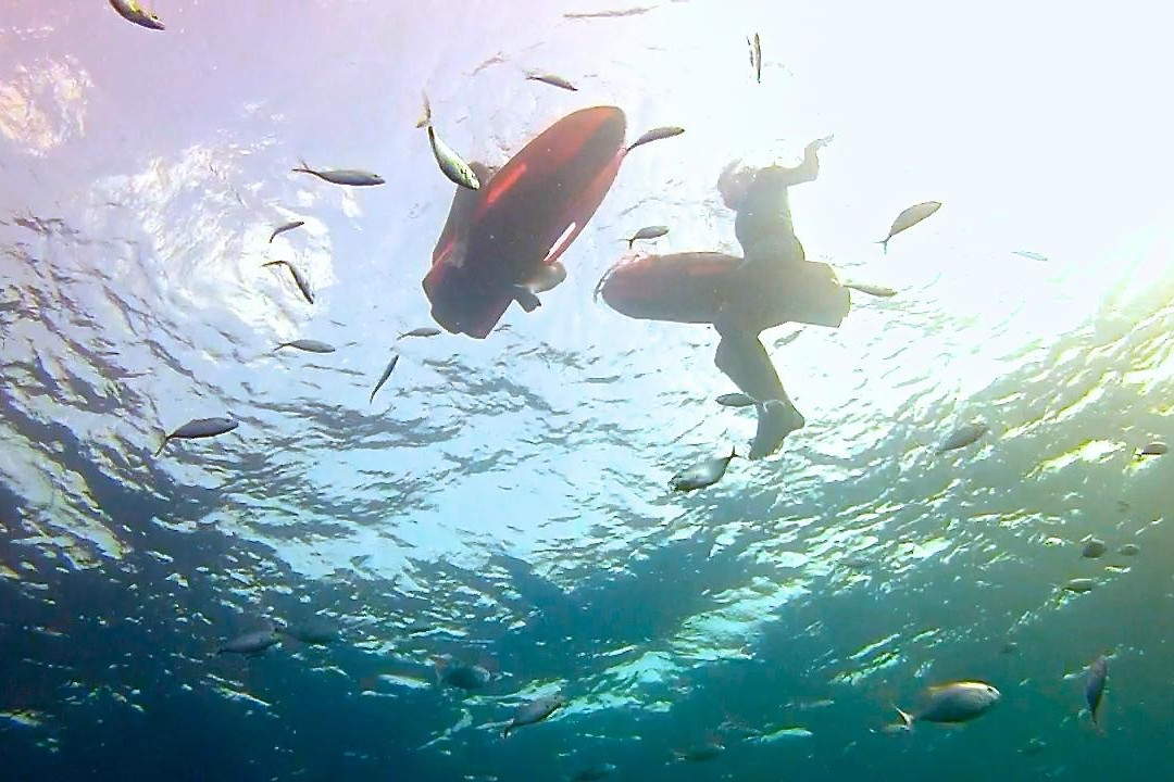 Seabob Dominicana-Bayahibe必去景点