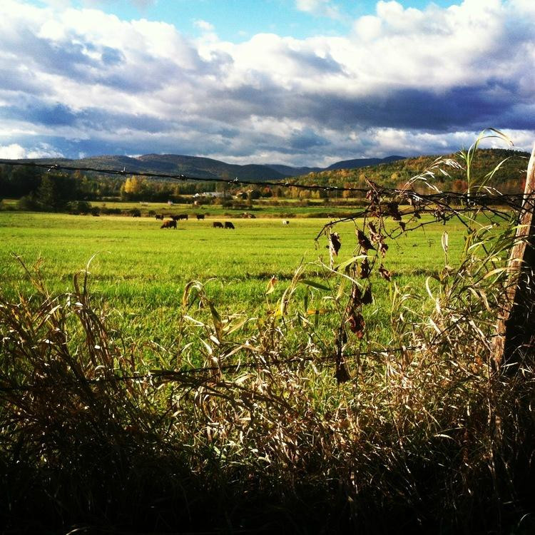 Mace Chasm Farm-Keeseville必去景点