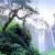 Parangloe Waterfall景点图片