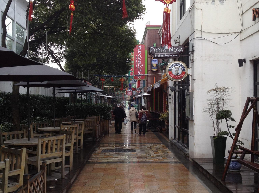 虹梅休闲步行街-上海市必去景点