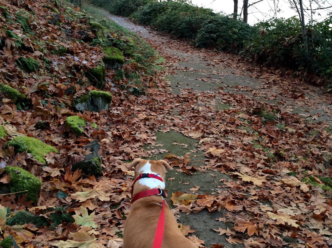 Armitage Park-尤金必去景点