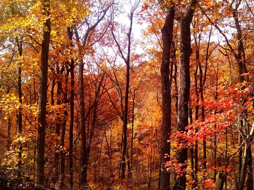 Nathan Bedford Forrest State Park-Eva必去景点